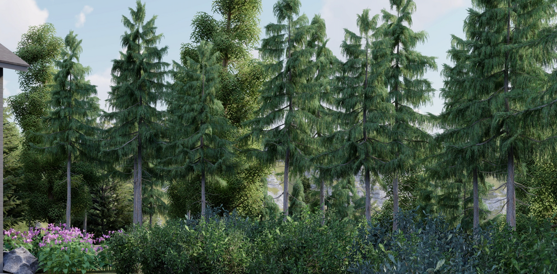 2025 landscape design predictions