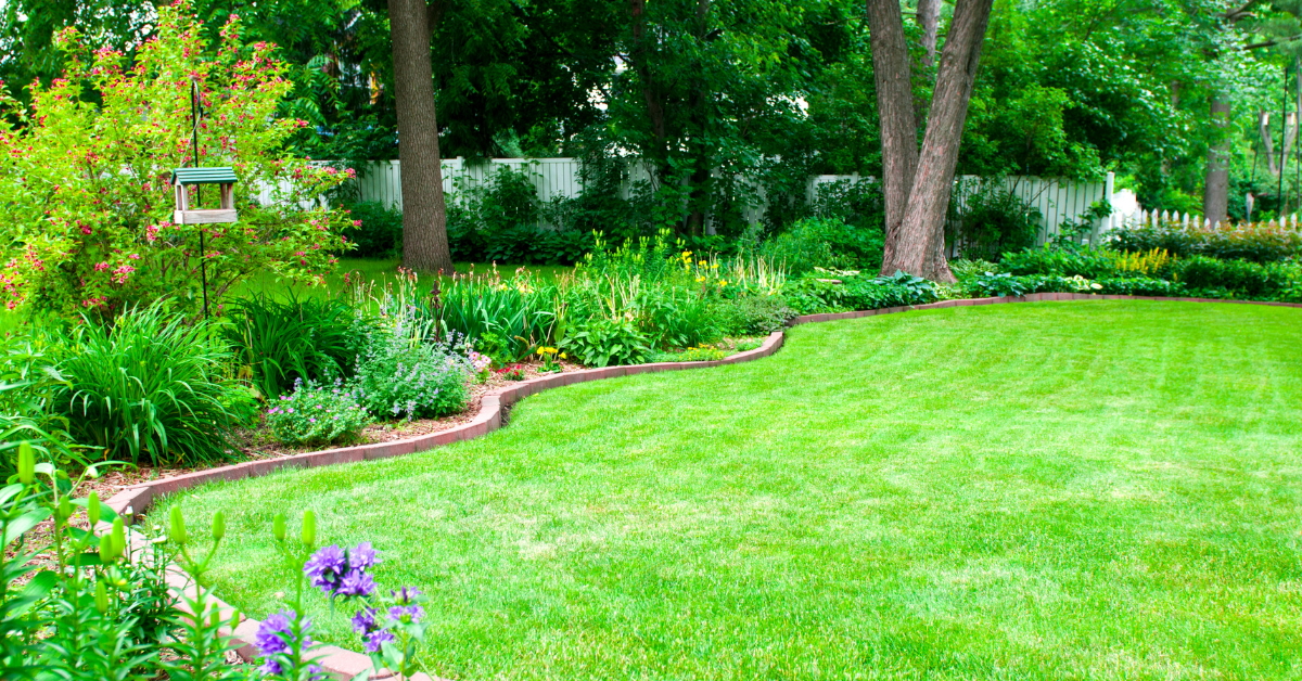 garden edging ideas for your yard