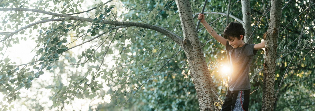 Climbing Trees is Good for You