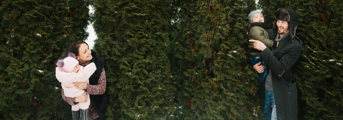 Why Our Emerald Green Arborvitae Are Better