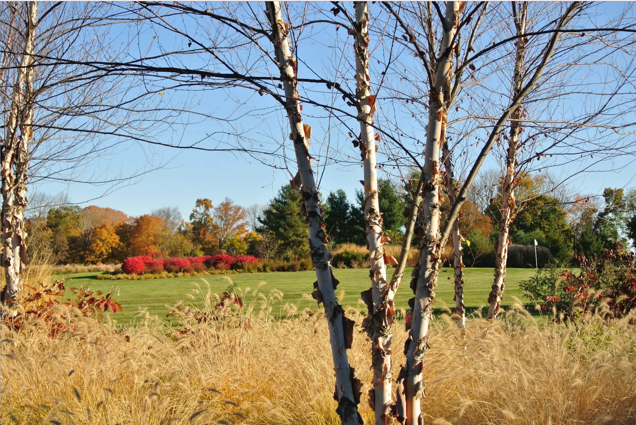 fall chores for your yard 