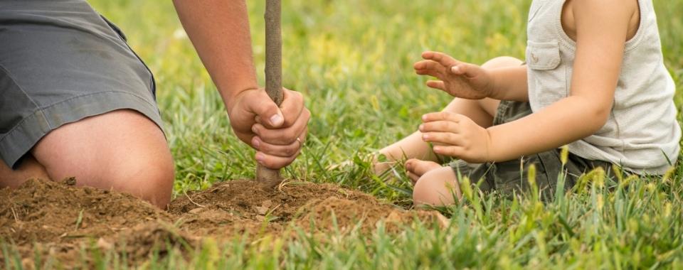 Fall Planting Tips