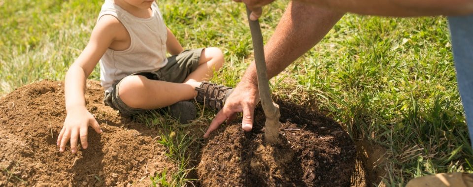 Top 10 Benefits of Planting in Fall
