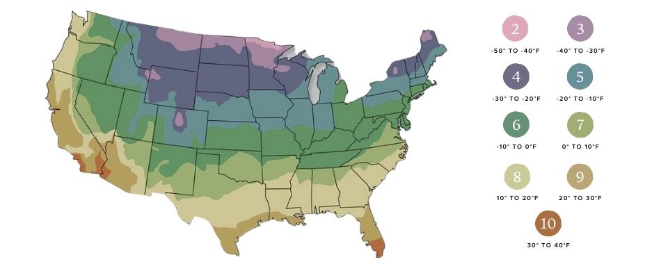 Planting Zones and Hardiness