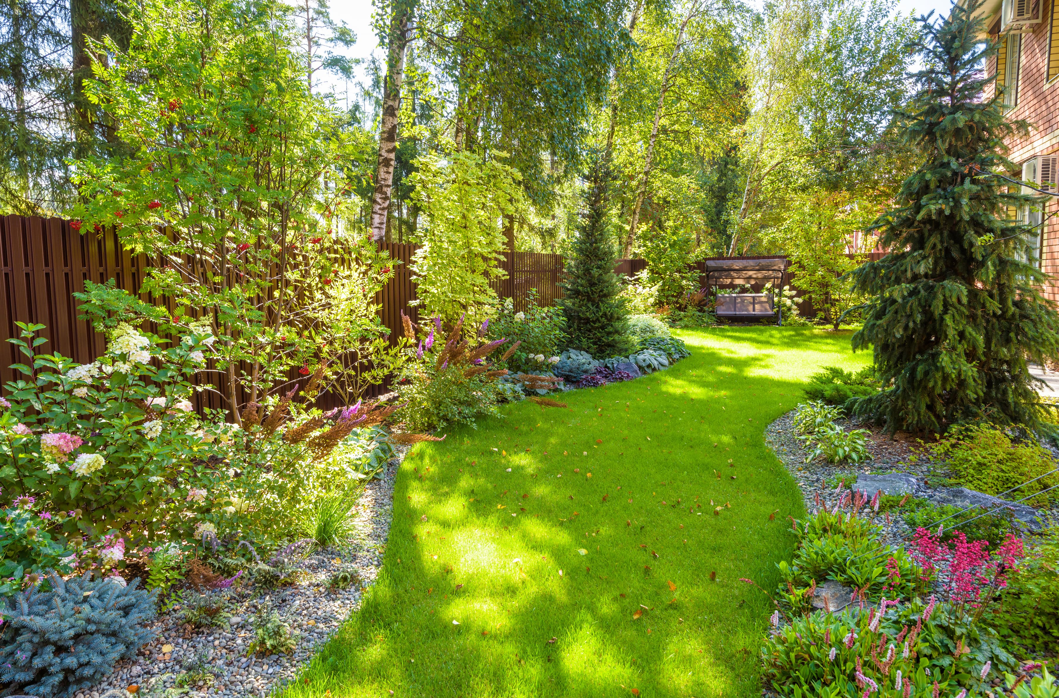 Choosing a Fast-Growing Tree for your Landscape or Garden