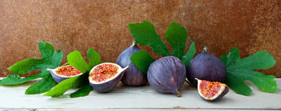 How to Plant and Grow Fig Trees