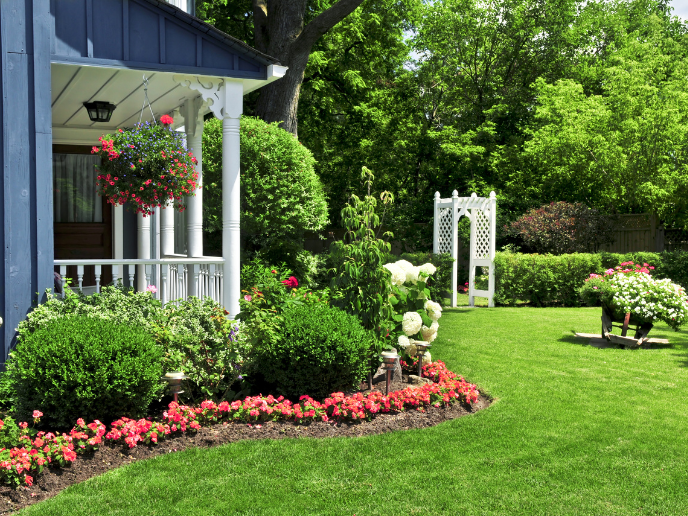 best trees for your yard 