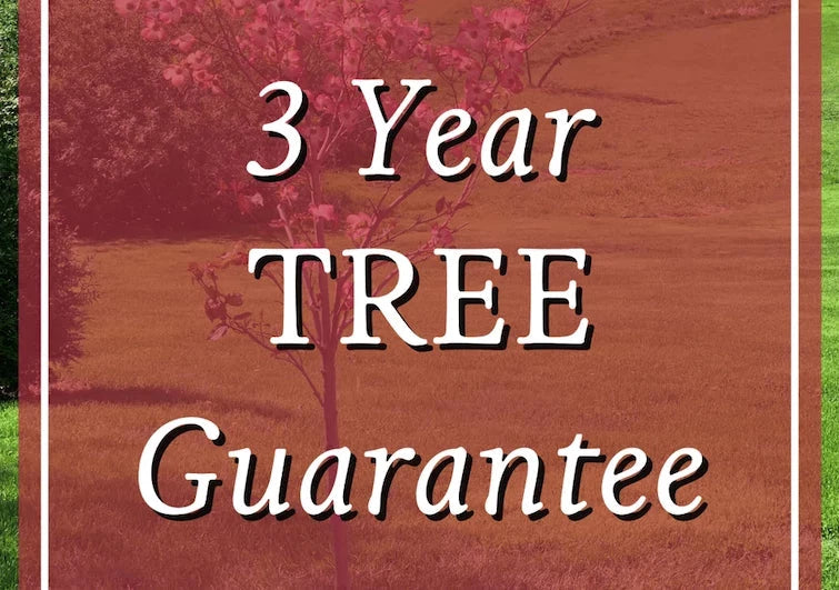 Member Guarantees