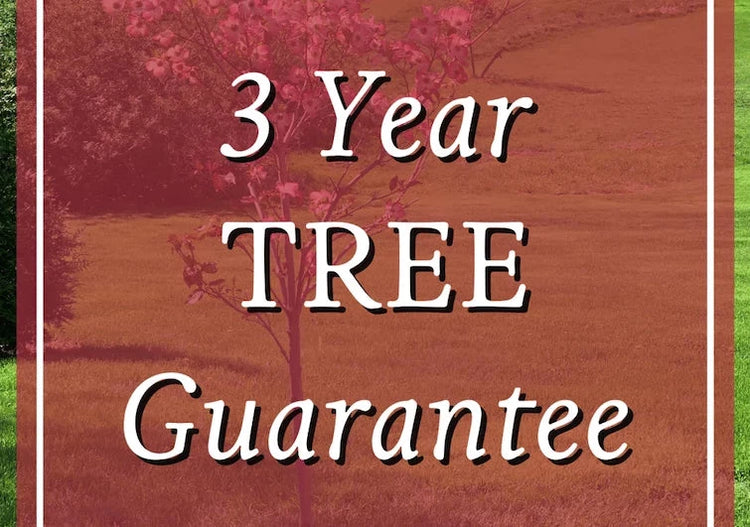 3 Year Guarantee