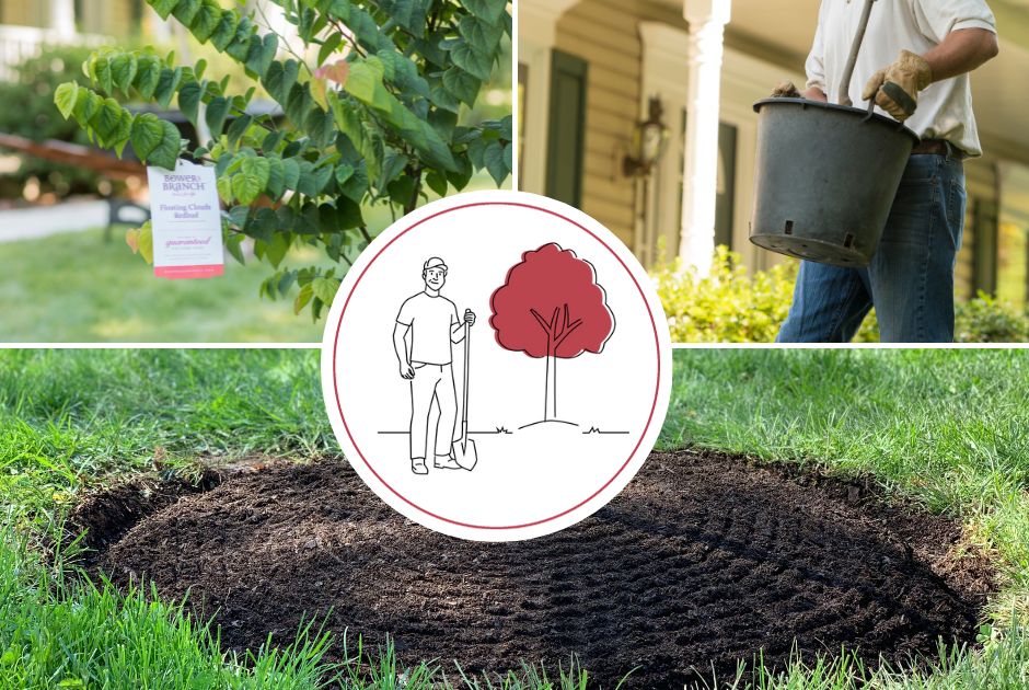 Free Planting