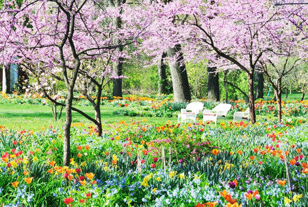 Plant trees, shrubs and perennials for their blooms of color!