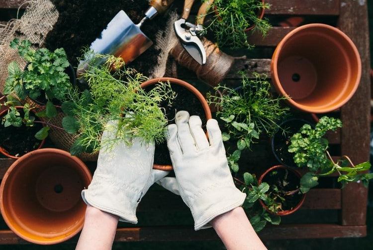 Garden Supplies