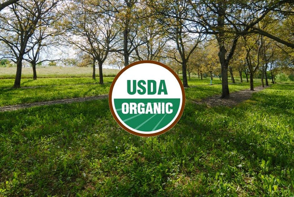 Shop USDA Organic Big Shade Trees online