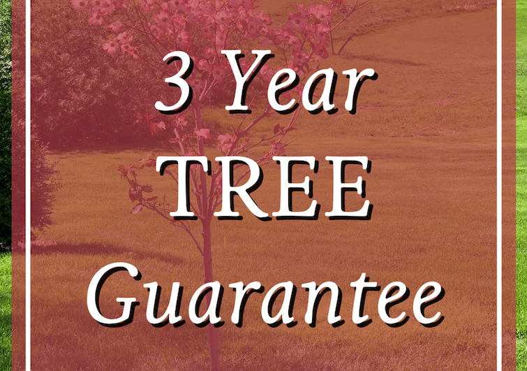 Guarantees