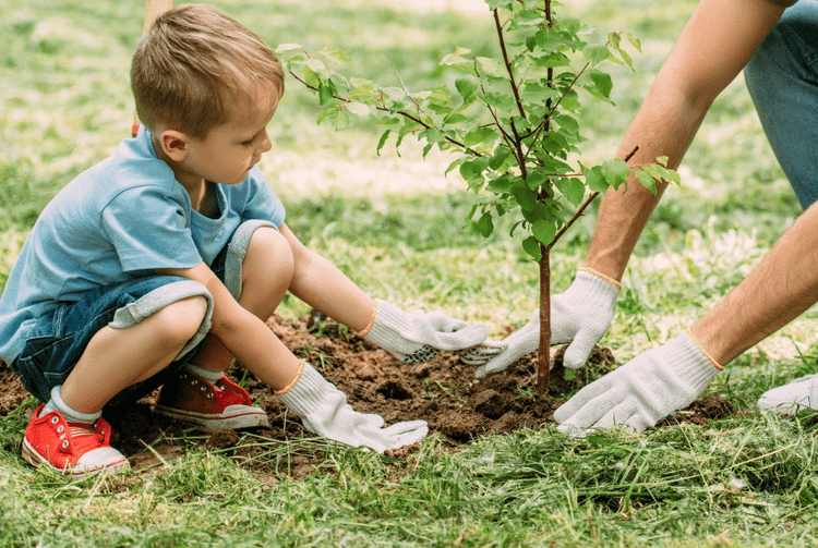 Watch your young tree grow