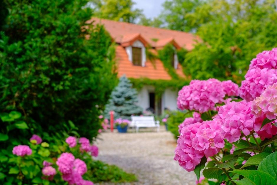 Flowering Shrubs in Bulk