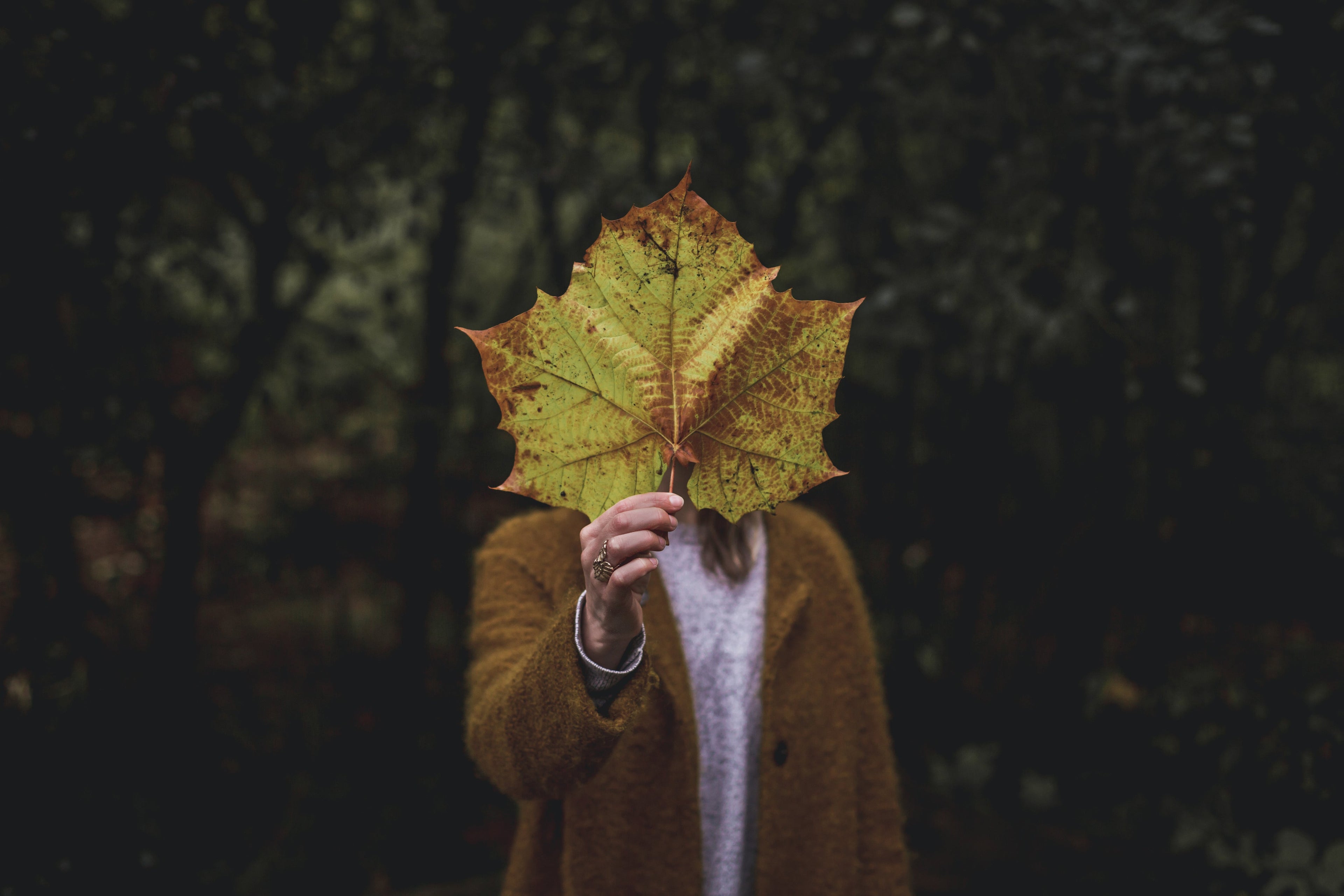 Best Value Trees