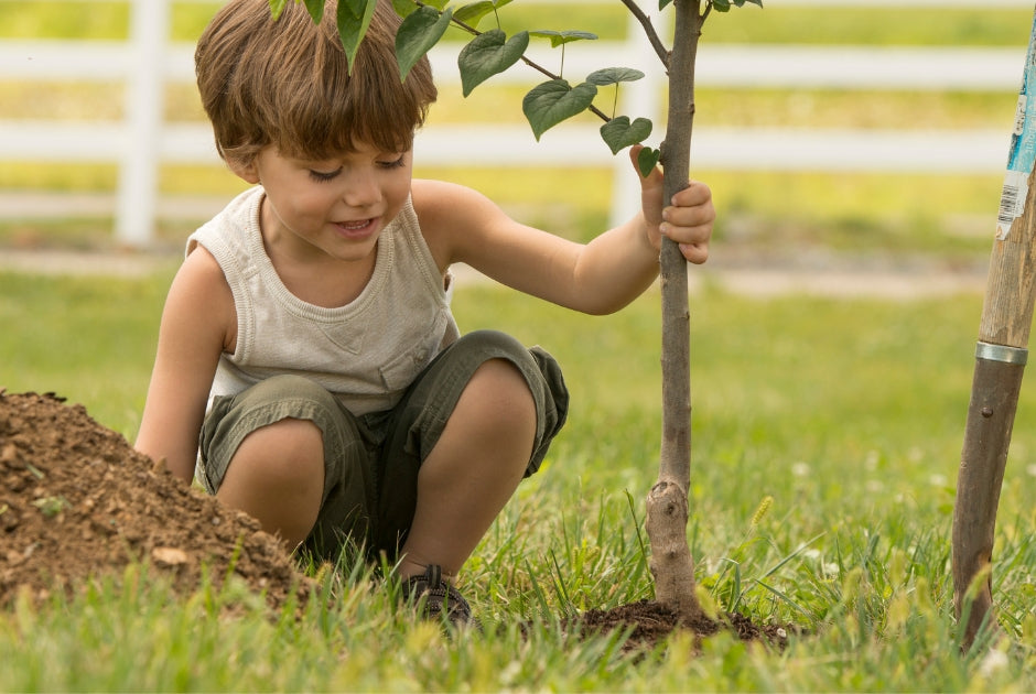 Plant Care and Services