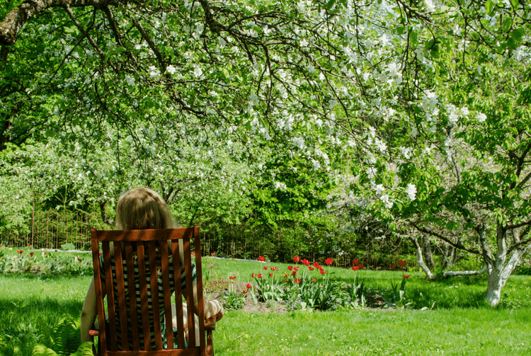 Big, shade trees are a must for people who love to be outdoors!