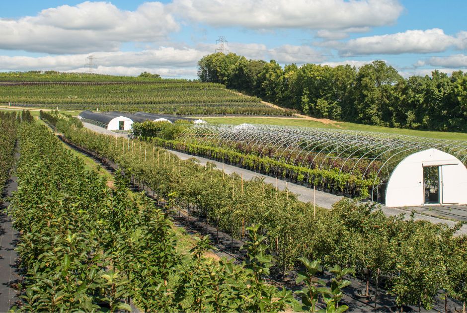 Special Grower Fall Favorites