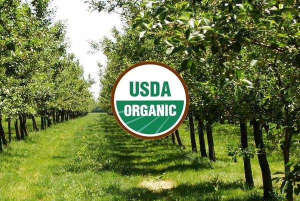 Plant USDA Certified Organic trees in your landscape