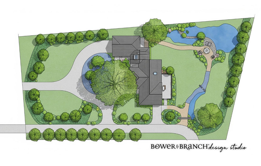 Tree Canopy | Bower & Branch Signature Landscape Design