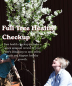Flowering tree with white spring blooms and Full Tree Health Checkup text overlay with people inspecting the tree