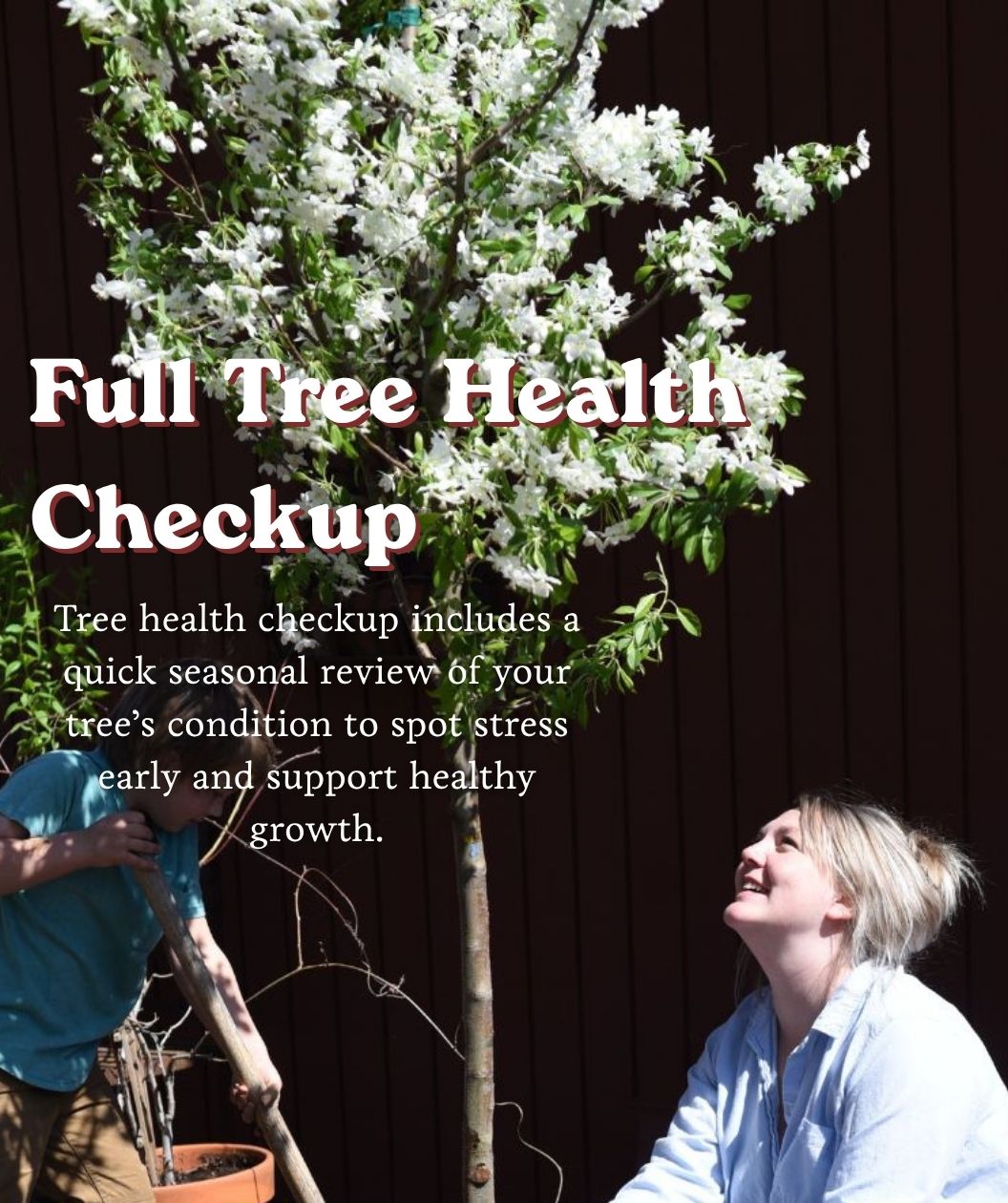 Flowering tree with white spring blooms and Full Tree Health Checkup text overlay with people inspecting the tree