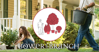 Bower & Branch