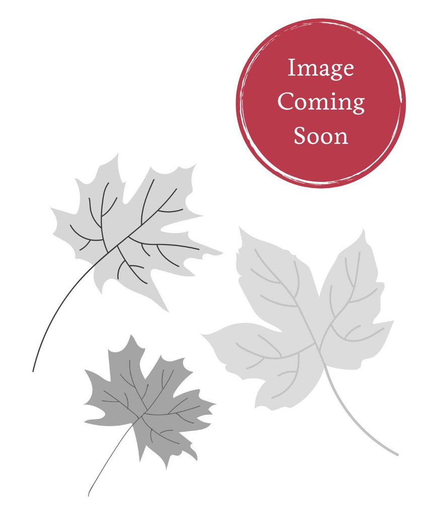 Burgundy Belle® Maple | Bower & Branch
