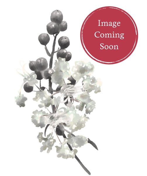 Purple Select Crape Myrtle | Bower & Branch