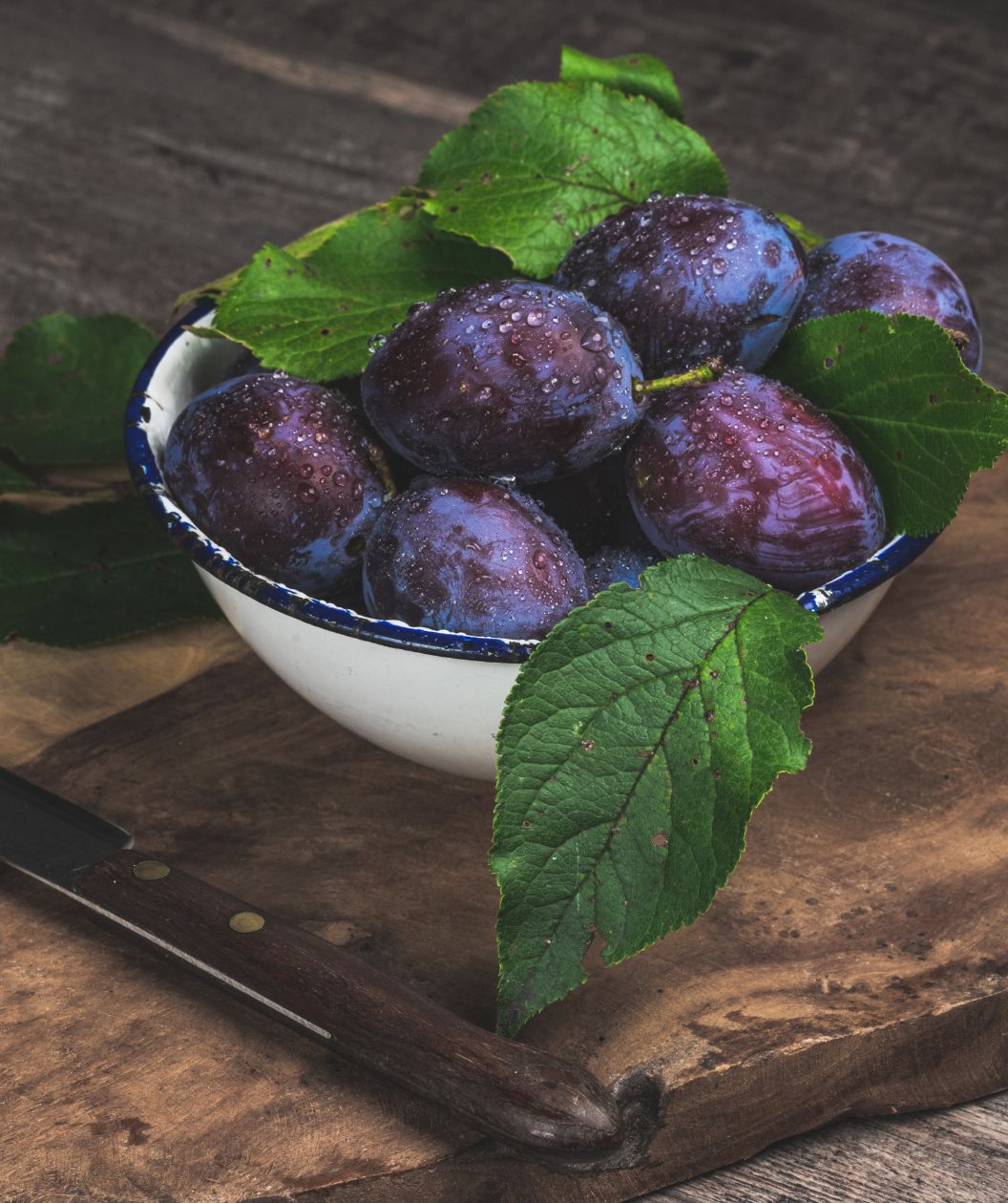Fresh picked plums