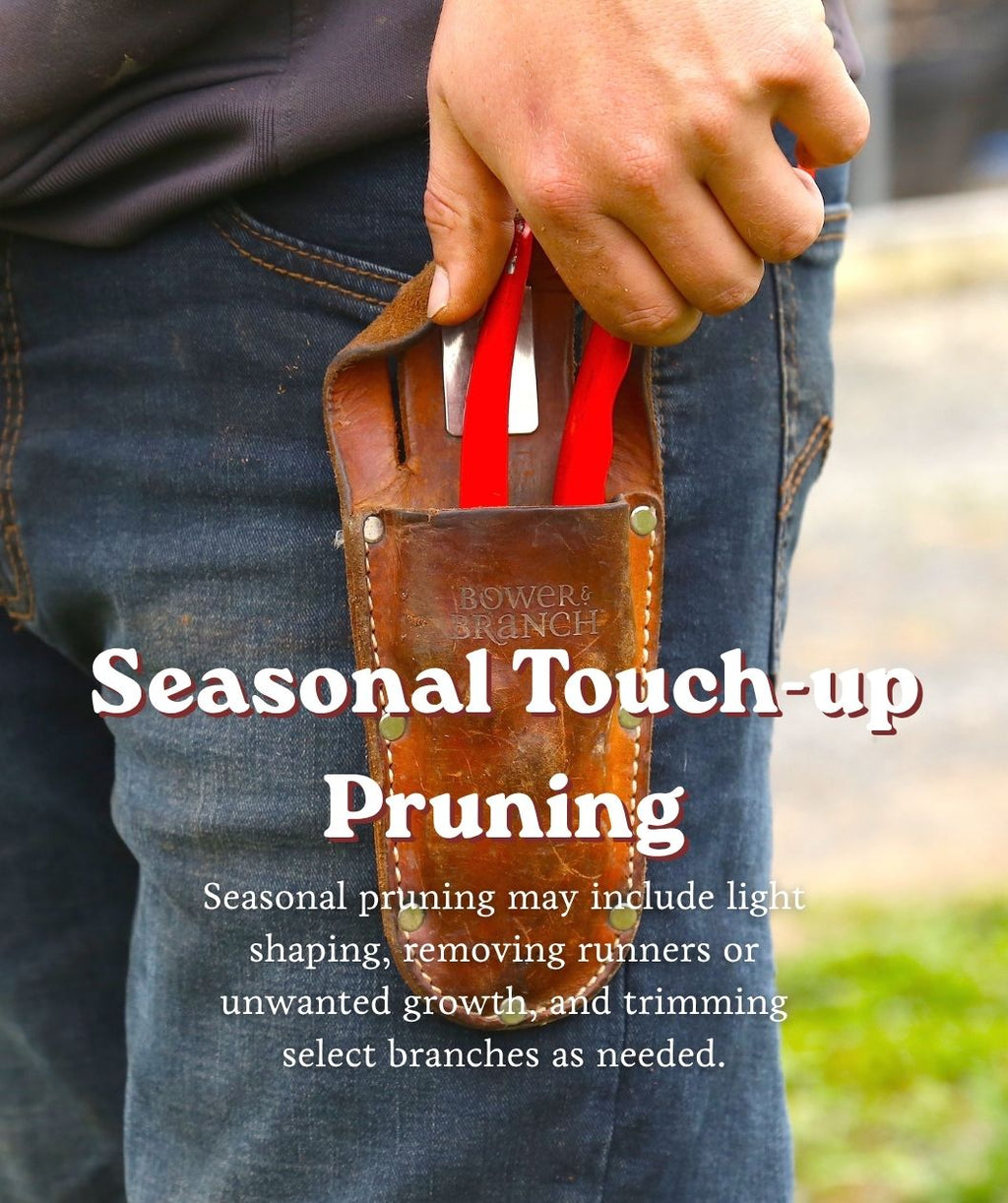 Close-up of pruning shears in a leather Bower & Branch holster with Seasonal Touch-up Pruning text overlay