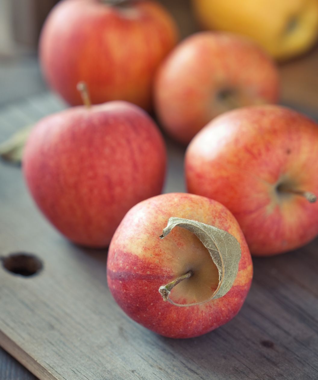 Gravenstein apples fresh from your orchard