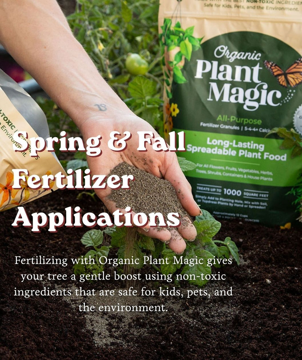 Hand holding Organic Plant Magic fertilizer granules over soil with Spring & Fall Fertilizer Applications text overlay