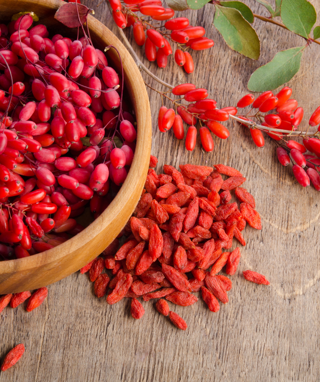 The plump, red, oval-shaped berries of the Goji Berry still on the stems and some that have been dried like raisins
