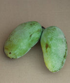 Overlease Pawpaw fruit, two oval shaped green skinned fruit