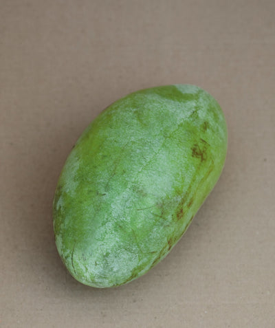 Pennsylvania Gold Pawpaw fruit, green skin oval shaped fruit