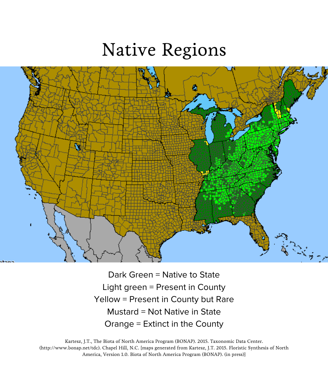 Audubon® Native Chestnut Oak Treeling Bower & Branch