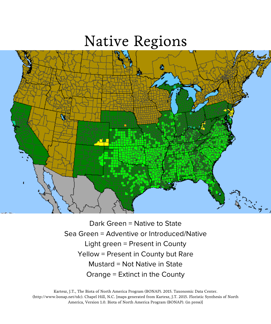 Audubon® Native Chickasaw Plum Bower & Branch