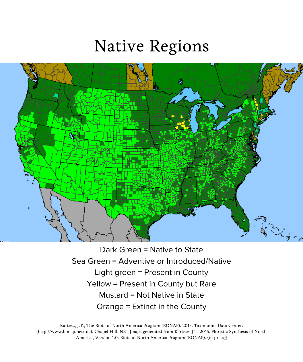 Audubon®Native Fragrant Sumac Bower & Branch