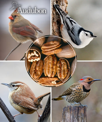 Audubon Native Pecans shelled and deshelled, surrounded by pictures of birds