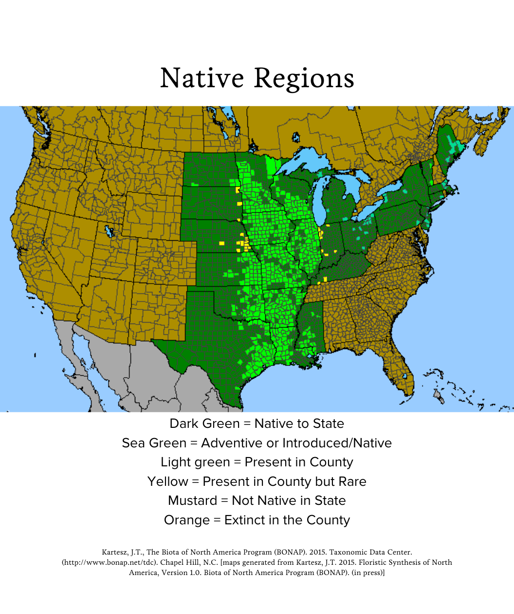 Audubon® Native Prairie Blazing Star Bower & Branch