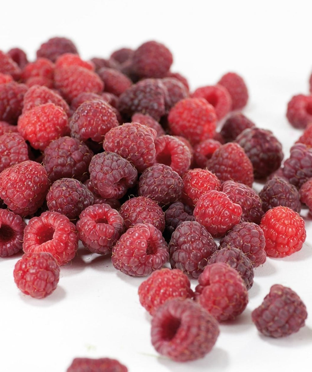 Willamette Red Raspberries on white, pile of red raspberries