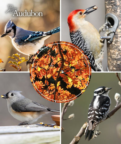 USDA Organic Audubon White Oak and native birds