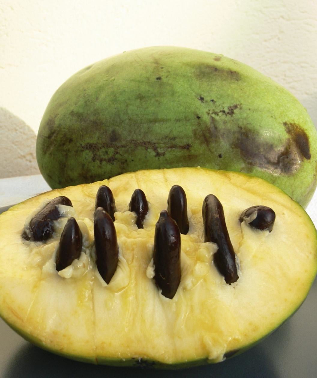 Mango Pawpaw