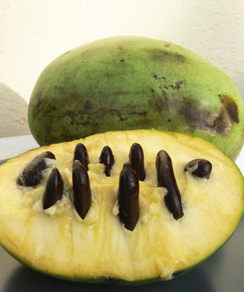 Mango Pawpaw fruit cut in half, green skin oval shaped fruit with a yellowish colored flesh with flat oval shaped dark brown seeds