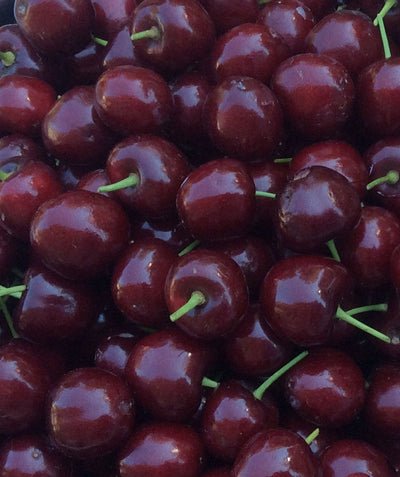 Blackgold Sweet Cherries, lots of small round dark red fruits with light green stems