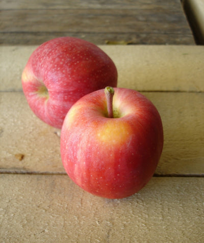 Buckeye Gala Apples, round red-skinned fruit with hints of yellow sitting on a table