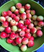 A bowl of freshly washed Centennial Edible Crabapples